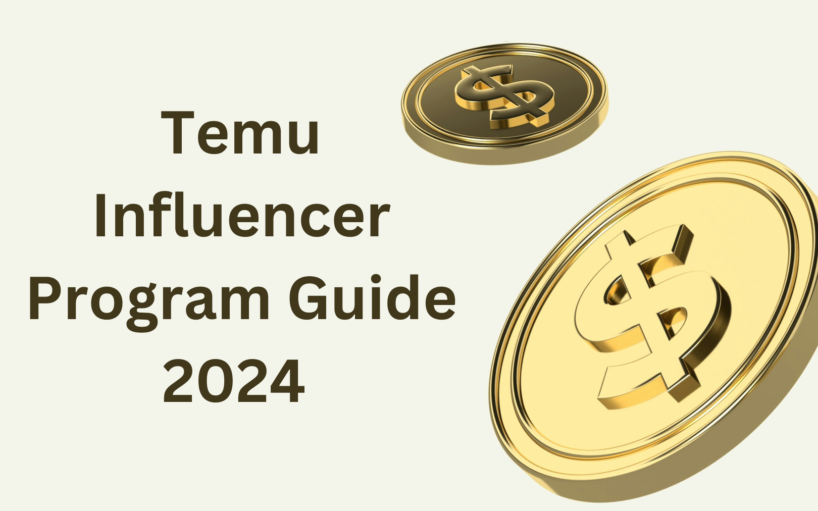 Temu Influencer Program: Step-by-Step Guide for Influencers in 2024